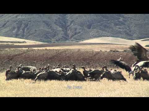 Trailer Dime Quién era Sanchicorrota, Jorge Tur.