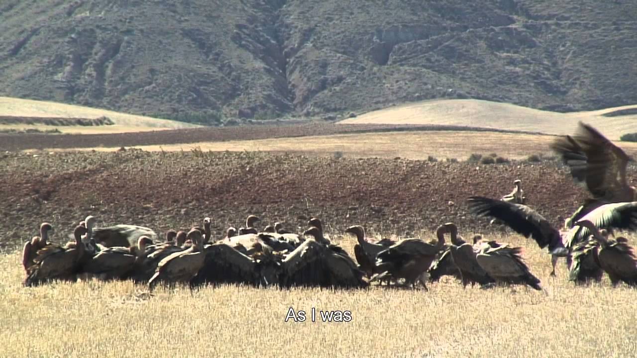 Trailer Dime Quién era Sanchicorrota, Jorge Tur.