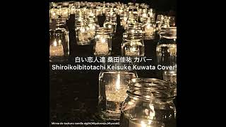 白い恋人達 桑田佳祐 カバー / Shiroikoibitotachi Keisuke Kuwata Cover