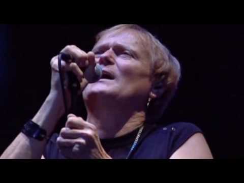 Bikini - A mennyország felé