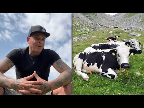 Pustertaler Sprinzen - einfach die Schönsten