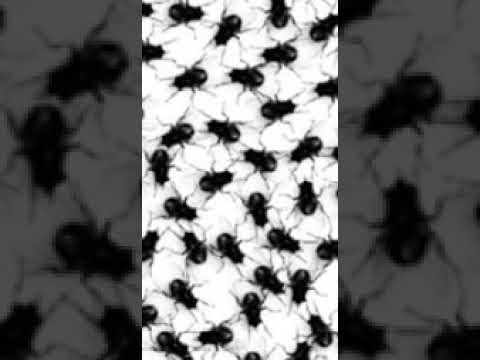 JGRXXN x BLACK SMURF x RAMIREZ - JUGGMANE