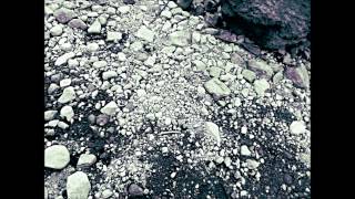 Reunion - Hot Club of Cowtown