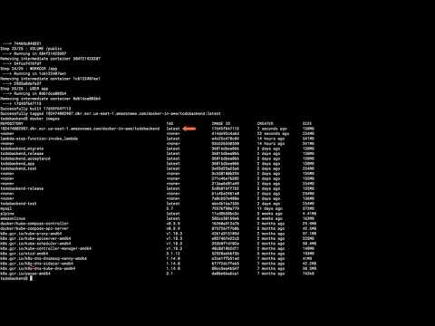 Docker on Amazon Web Services | 5 Publishing Docker Images Using ECR