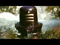 Maha Mrityunjaya Mantra Mahakal Status Video Song 2021 Shorts Mahadev Mahakal Neelkanth