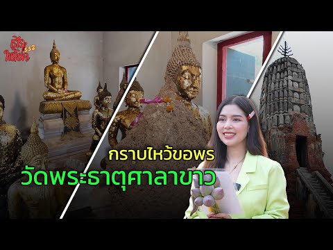 วัดพระธาตุ (วัดพระธาตุศาลาขาว)