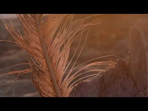 Stokn - Who Can I Trust (feat. Tim Nihan)(ROUGH)