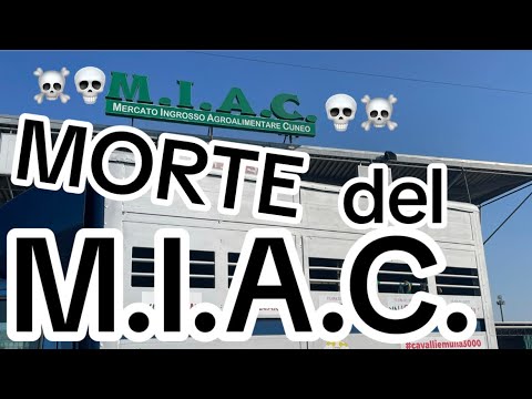 #cuneo con la MORTE del M.I.A.C.si SCRIVE un CAPITOLO di STORIA ITALIANA dell’ALLEVAMENTO BOVINO ☠️