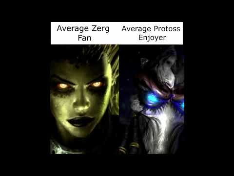 Average Zerg Fan vs Average Protoss Enjoyer