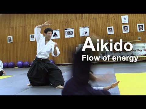 Aikido Flow of energy Morote Dori - Shirakawa Ryuji shihan