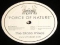 Sunshine Anderson ‎– Force Of Nature (Blaze Roots Vocal Mix)