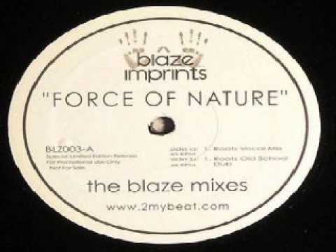 Sunshine Anderson ‎– Force Of Nature (Blaze Roots Vocal Mix)