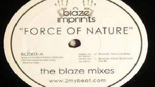 Sunshine Anderson ‎– Force Of Nature (Blaze Roots Vocal Mix)
