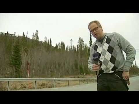 Tjäderattack - Nordnytt