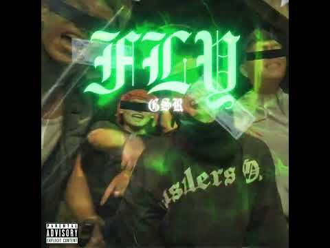 GOSARE - FLY (Visualizer)