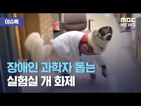 아이콘