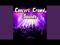 Medium Indoor Crowd In An Classical Concert Hall Heavy Applause With Light Yelling