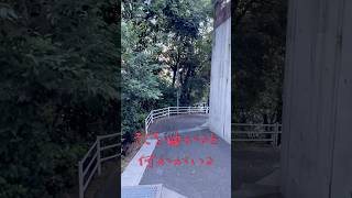 【どっちに進む？】滋賀・膳所の田舎道…選んだ先にあるものは？ #shorts