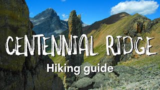 CENTENNIAL RIDGE HIKE | Mount Allan, Kananaskis Country