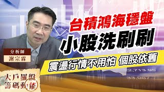 台積鴻海穩盤 小股洗刷刷震盪 行情不用怕 個股依舊 (圖)