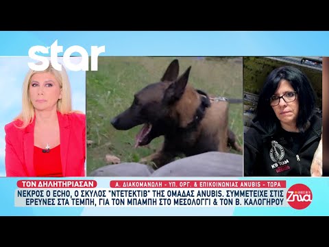Δηλητηρίασαν τον Echo, τον σκύλο “ντετέκτιβ” της Anubis που συμμετείχε στις έρευνες στα Τέμπη