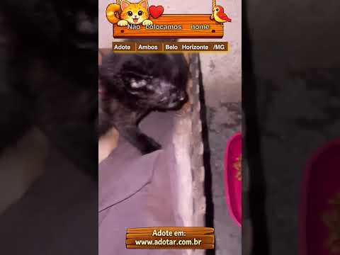 Vídeo de Não colocamos nome