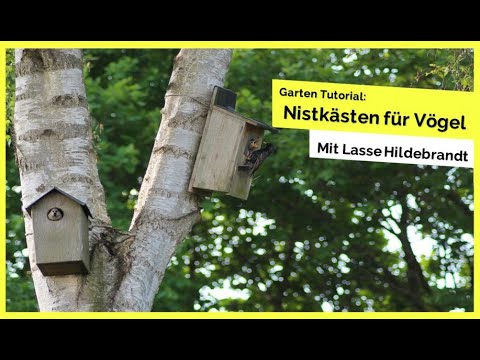 RWH on Stage 🎙 [07] - Nistkästen für Vögel