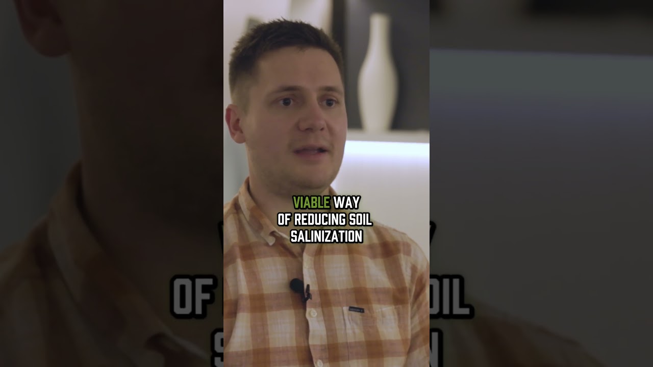 Descripción del Video