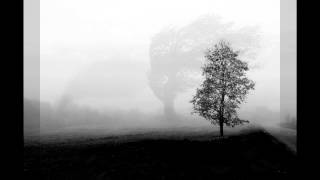 Lost In Nothingness- Searching...