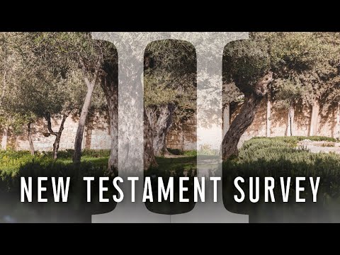 New Testament Survey II