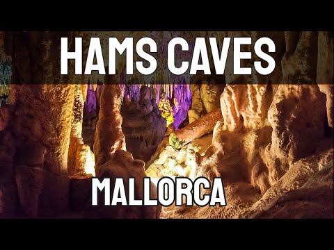 We Take a Trip to the Amazing Hams Caves in Porto Cristo - Mallorca