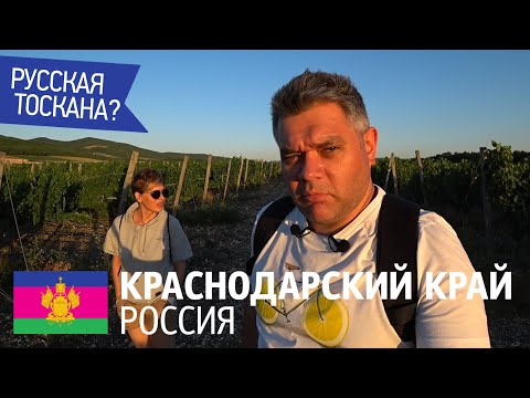 Лучшее русское вино. Виноградники Краснодарского края.