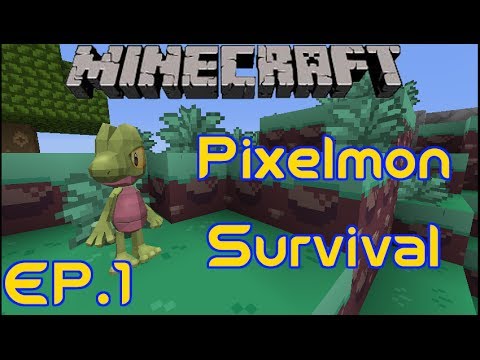 Pokeballer's Survival | Episode 1 | Good Foundations