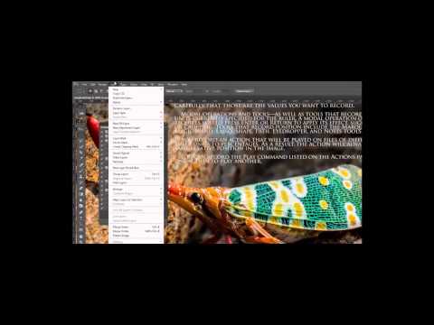 Photoshop Tutorials | Adobe Photoshop Tutorials Introduction