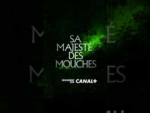 Teaser