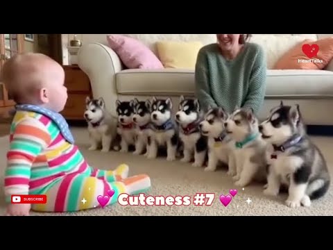 Cute Baby & Dog Funny Moments Compilation - Husky, Labrador Puppies Reactions | Try Not To Laugh!🇺🇸😂