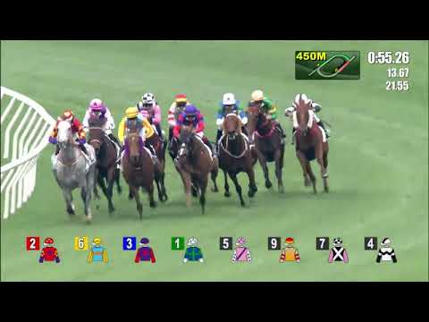 27/3/2022 (535) Super Dynamite -  Vincent Ho