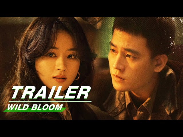 Official Trailer: Wild Bloom | Zhao Liying x Oho Ou x Li Guangjie | 风吹半夏 | iQIYI