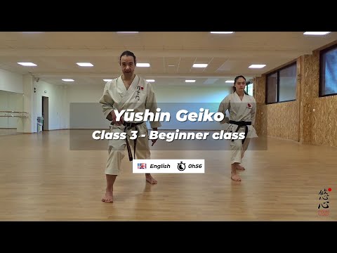 60mn Follow Along Shotokan Karate Class -  Beginners #1