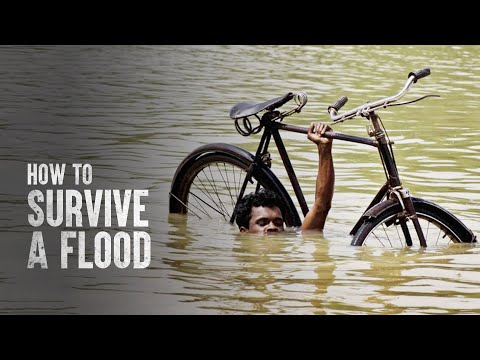 How to Survive a Flood
