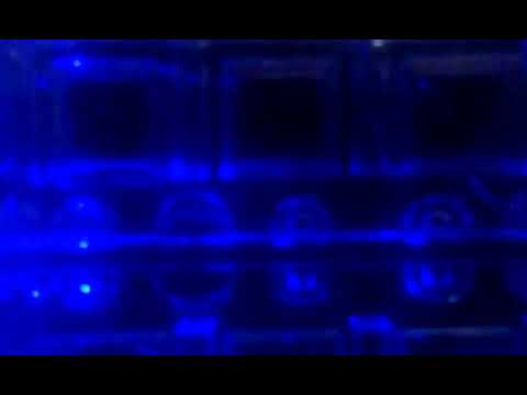 Rick astley vs. Lmfao vs. Linkin park - never gonna numb i know it mashup