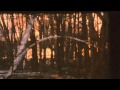 Cex - I Said It Knowing Full Well I Had No Intention of Doing It (Visions in Meditation Edit)
