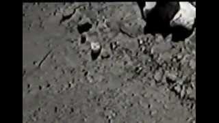 bestial warlust- unoficial blackmetal video.