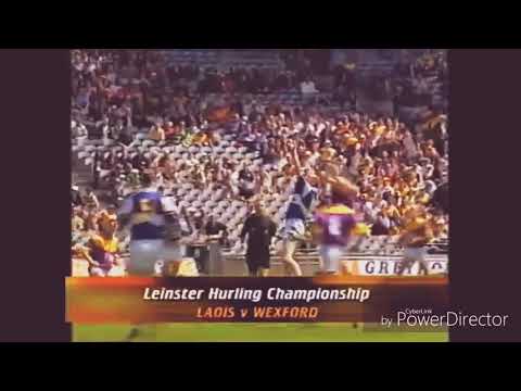 Wexford v Laois 2001 Hurling Championship