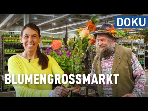 Blumen vom Großmarkt – regional hat's schwer | doku | erlebnis hessen