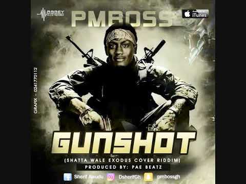 PMBOSS - GUNSHOT(exodus cover) (mixed by pae beatz)