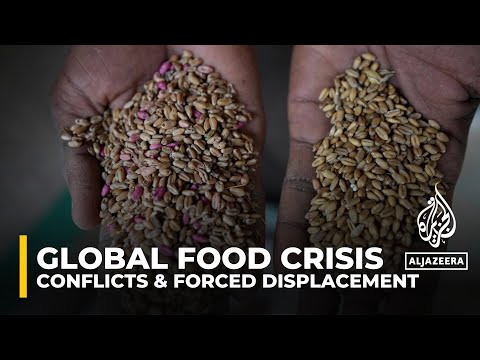 Reports says conflict outweighs climate change in driving global hunger