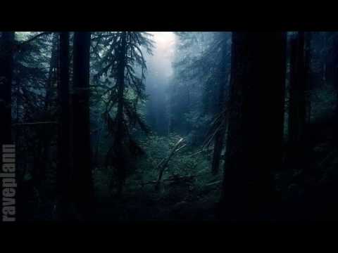 Dark forest SUTEMI Forestdelic Records Series Vol 21 15 07 2016