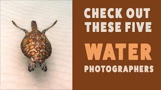 5 "Water Photographer" Members Images (July 2023 showcase)