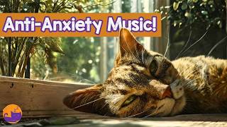 Calming Peaceful Frequencies for Cats ❤️ 528 Hz Purr Frequencies ✨